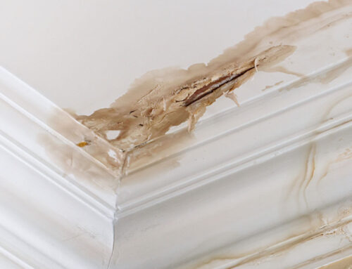 What are the most common sources of water damage in the home?