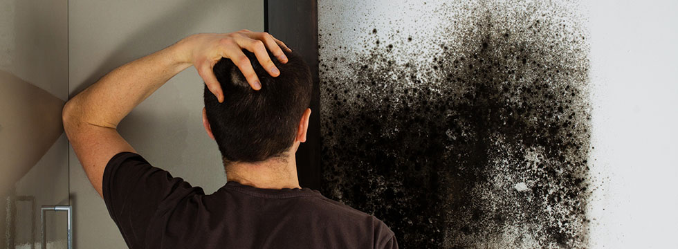 Black-Mold-Removal-Burnaby