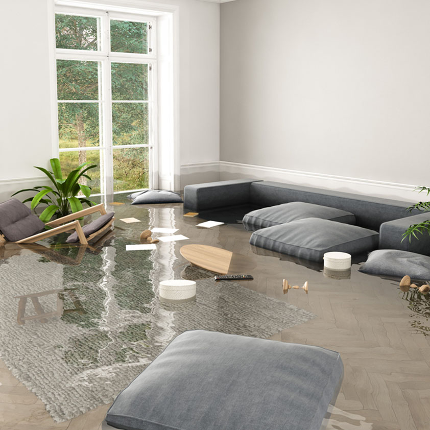 If You Have Water Damage in Surrey, It Needs to Be Cleaned Up Quickly